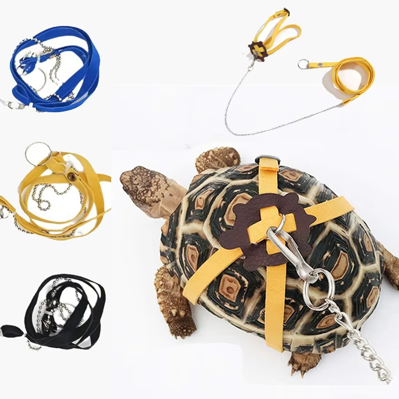 Water Dish Reptile - Sangle de traction pour tortue, laisse