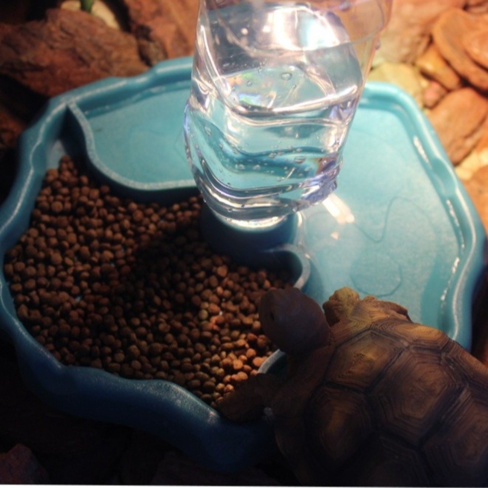 Nouvelle gamelle amovible pour - Water Dish Reptile avis et prix