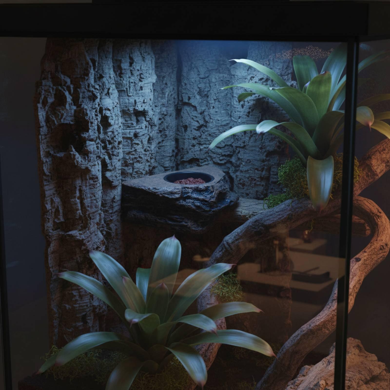 Étagère réglable pour nourritu - Water Dish Reptile avis et prix