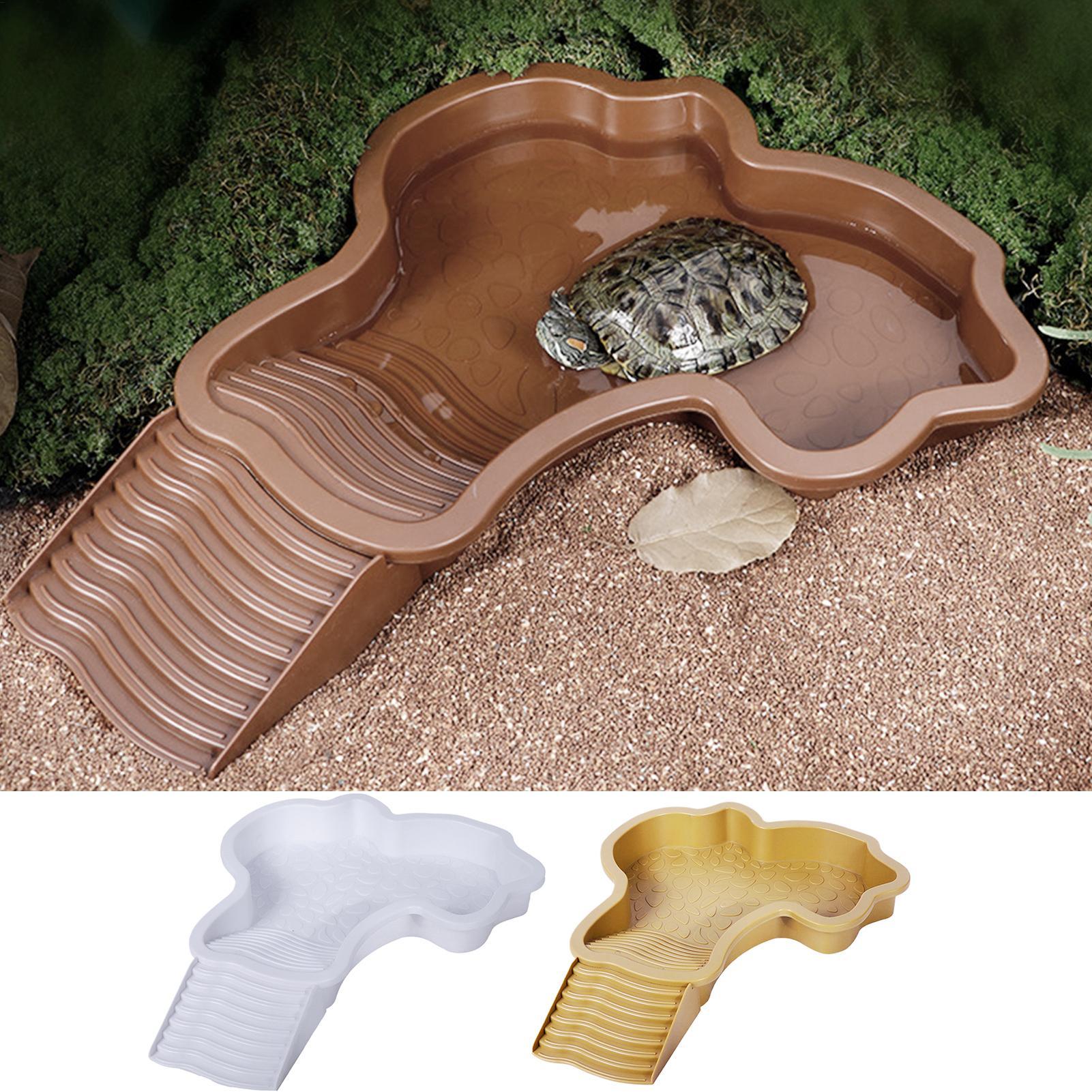 Piscine de bain pour reptiles  - Water Dish Reptile avis et prix